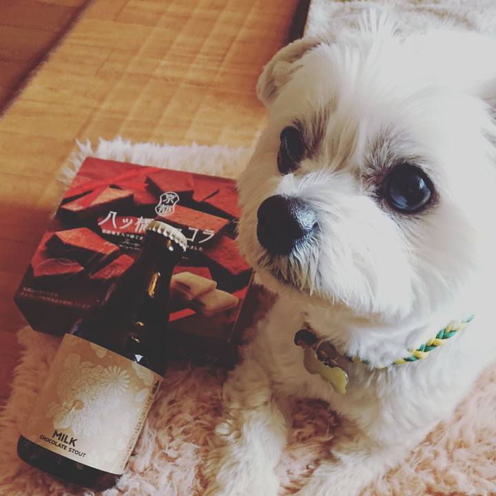 B11155a2 28c6 4ac4 80cd 18afe156ca4c 1581648792507