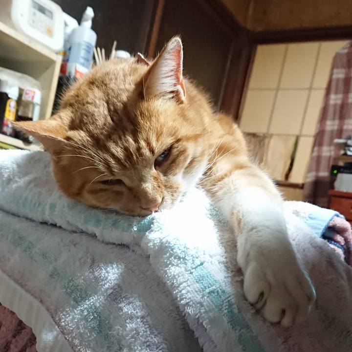 B1118b76 7a66 4b57 a5d1 add1df33af59 1607637347029