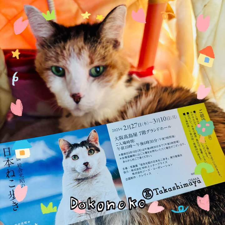 B111a2c0 9627 4bda 9cf2 945ab10393b3 1741401728467