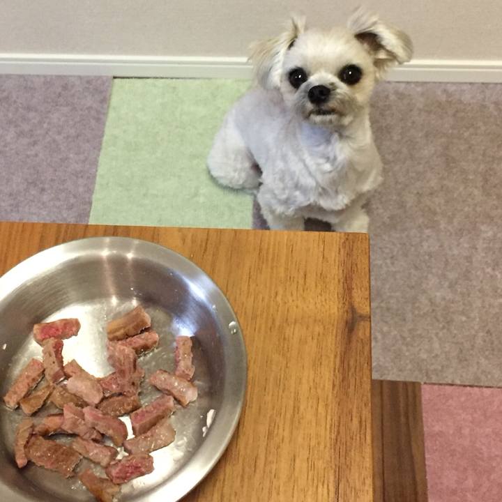 B111c484 747a 4dc4 94f5 857f6775b5b2 1517666965187