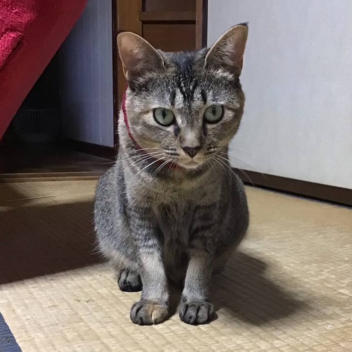 B111cde3 79af 43a2 a6e5 48d51cee6ca7 1598175802622