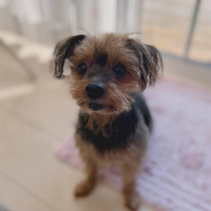 B1121624 f685 4e23 a485 e91ffd6aa03f 1640839659682