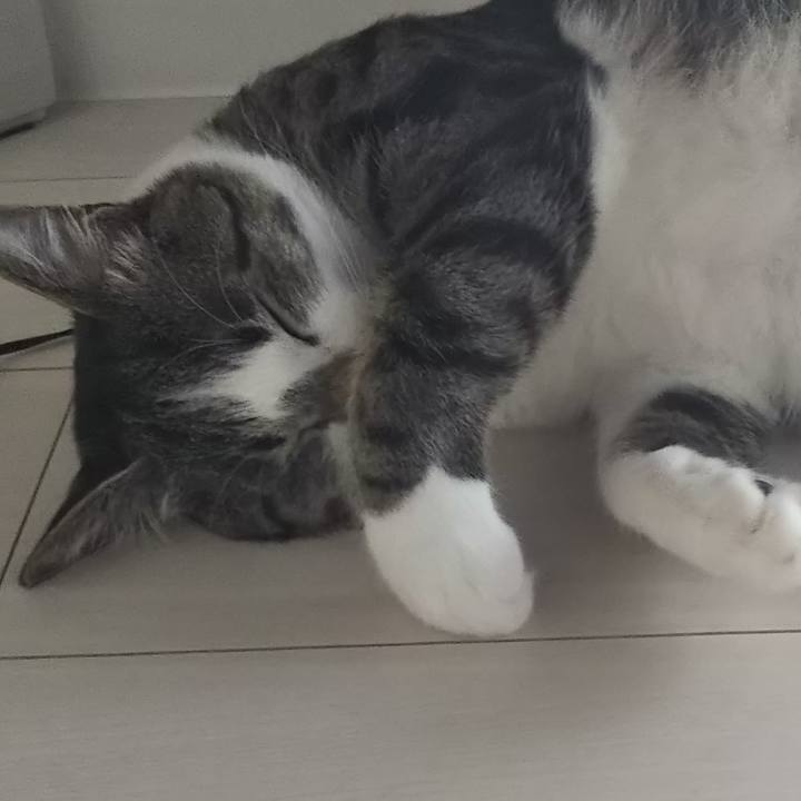 B1126dfb cce7 4183 8fbe 1597847517c9 1604762458588