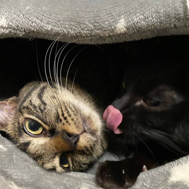 B1129ca8 a0a7 4935 960b 75f82385e694 1643370643686