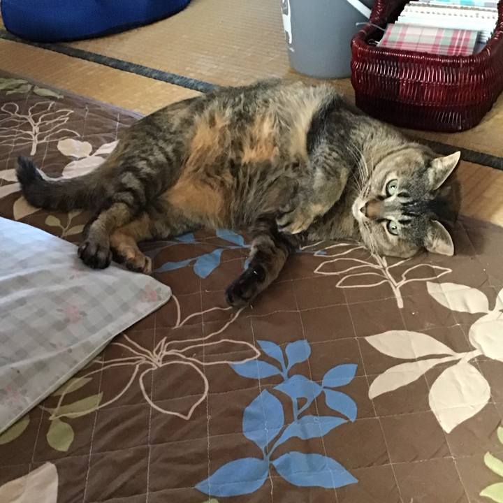 B112aec1 fafe 4816 aa59 aea87fad5250 1742434414700