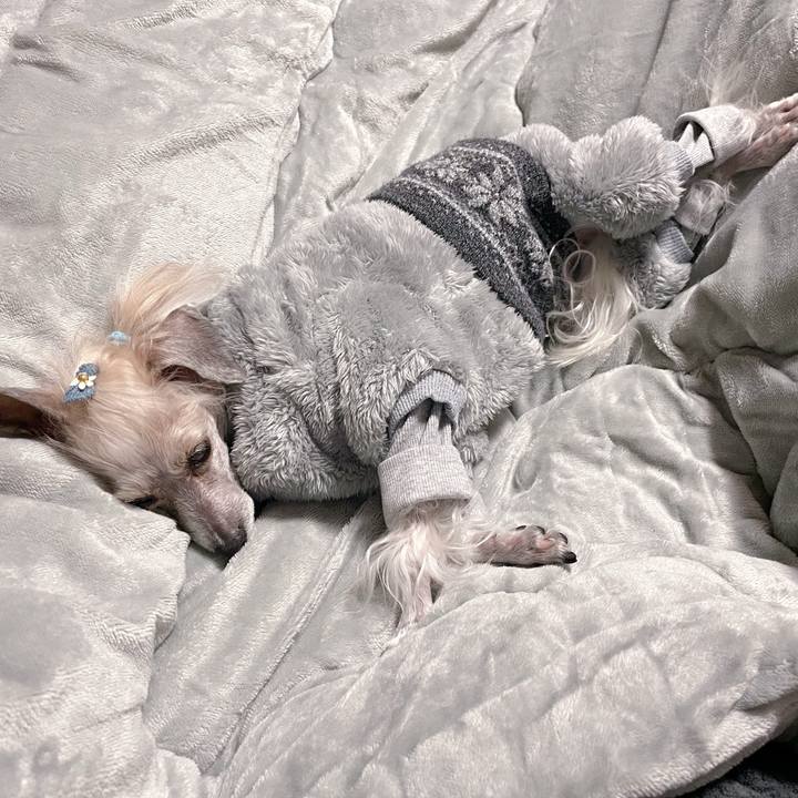 B112c520 eb30 4e5e 9716 ac86168135fe 1767595959603