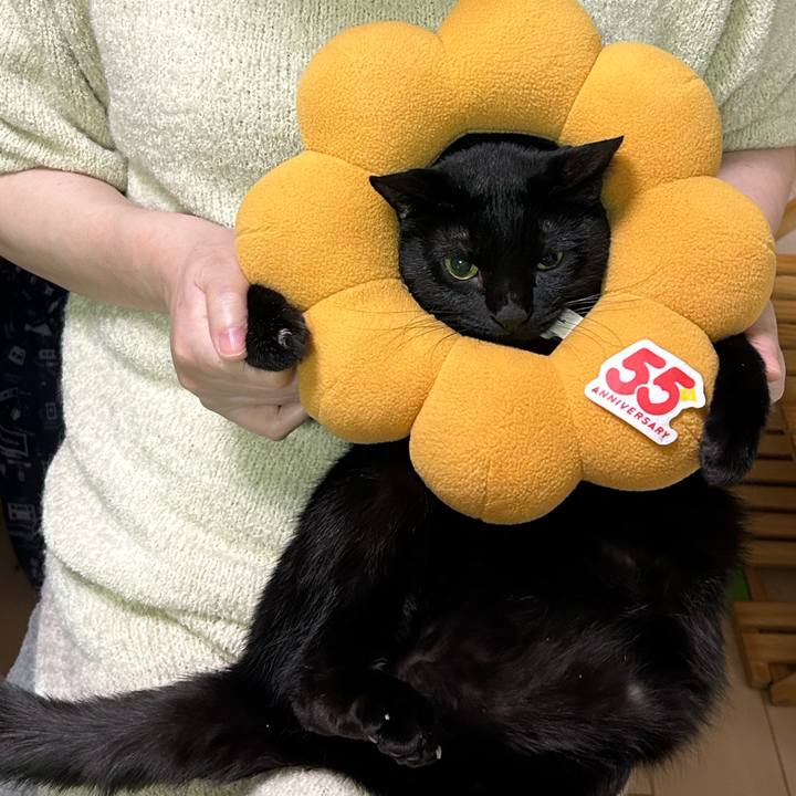 B112c933 4b29 41ac ad34 258c6a59f6d1 1767831911095