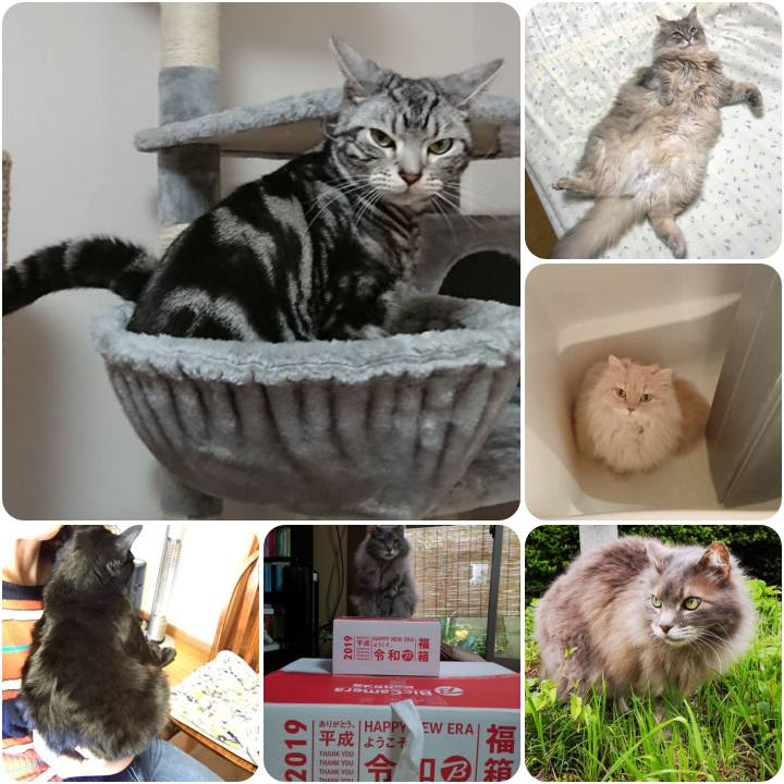 B112d8b5 87c7 4c8e afa3 c10dd8107062 1556793000090