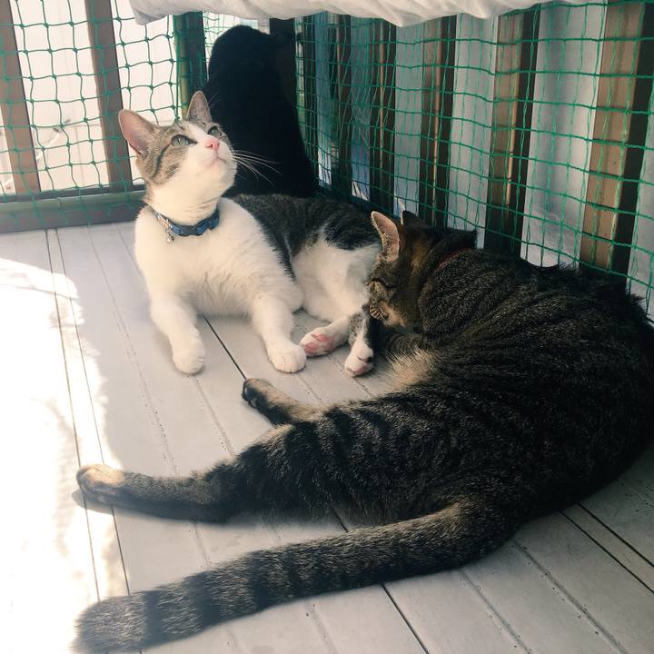 B112f855 d4bc 4e8f 9f2d c8f8c3ee4870 1526352801481