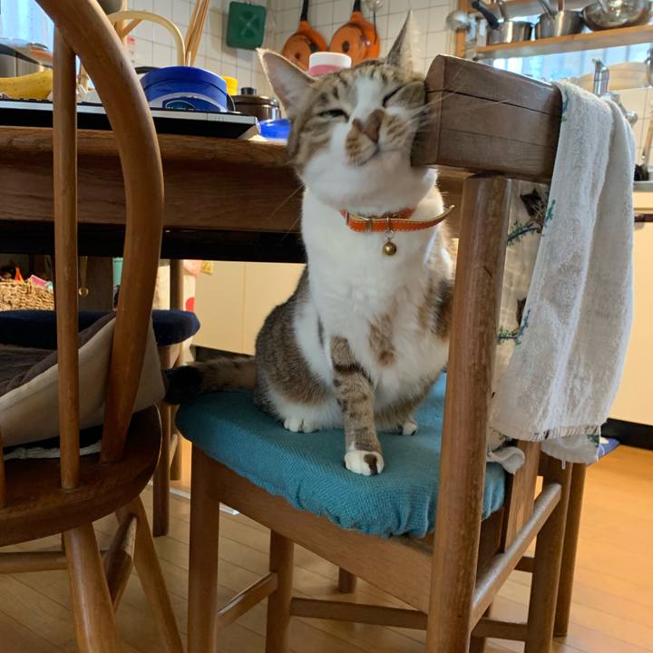 B1130c71 a574 4e3e bd21 3b594045d4c8 1648422942577