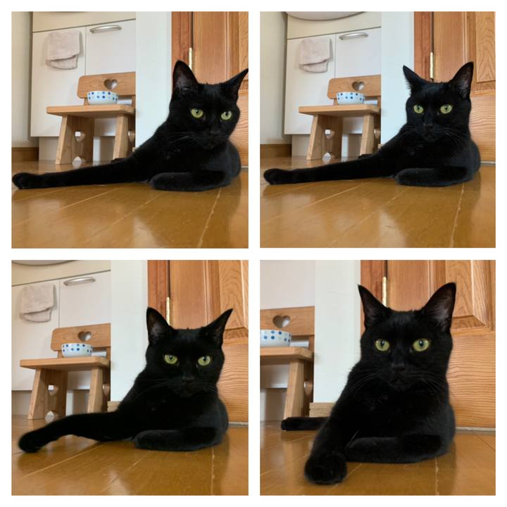 B1130e5c 9d1d 4fe1 a572 3e464c231cd1 1595048951398