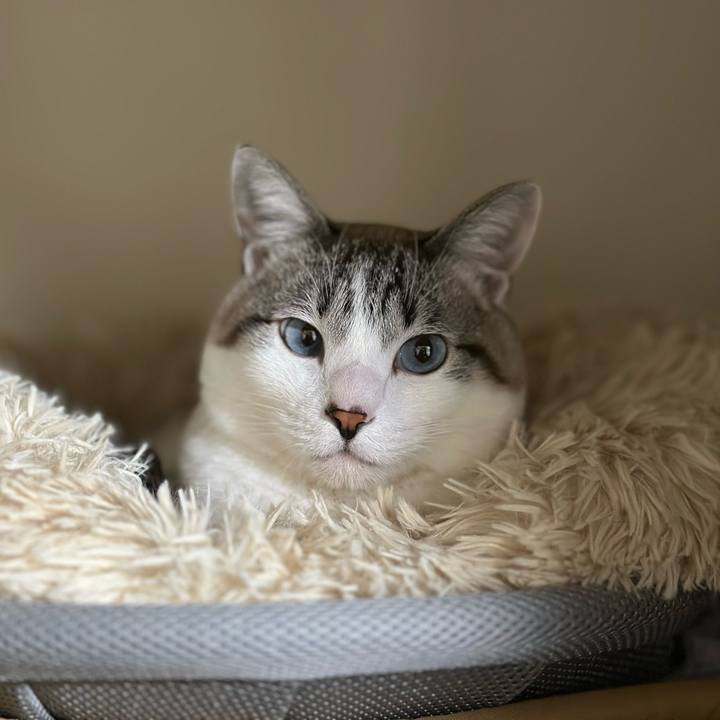 B1132828 9399 4d2d 92af 4ff532458367 1770871722306