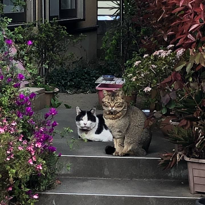 B1139993 acc1 49a1 abc8 26180da6fcf8 1554473245429