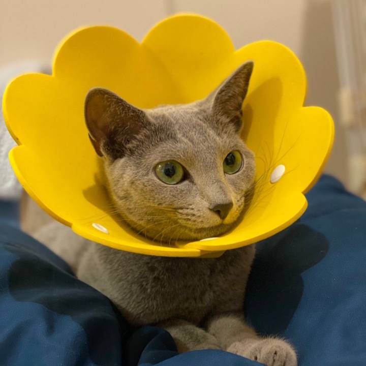 B1139e23 bb3b 40ef a702 cd7ce4d661f7 1631872024929