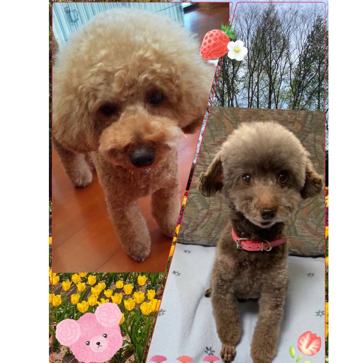 B113aa31 dfaf 4390 b0ae 0f2776b8bf31 1651157004268