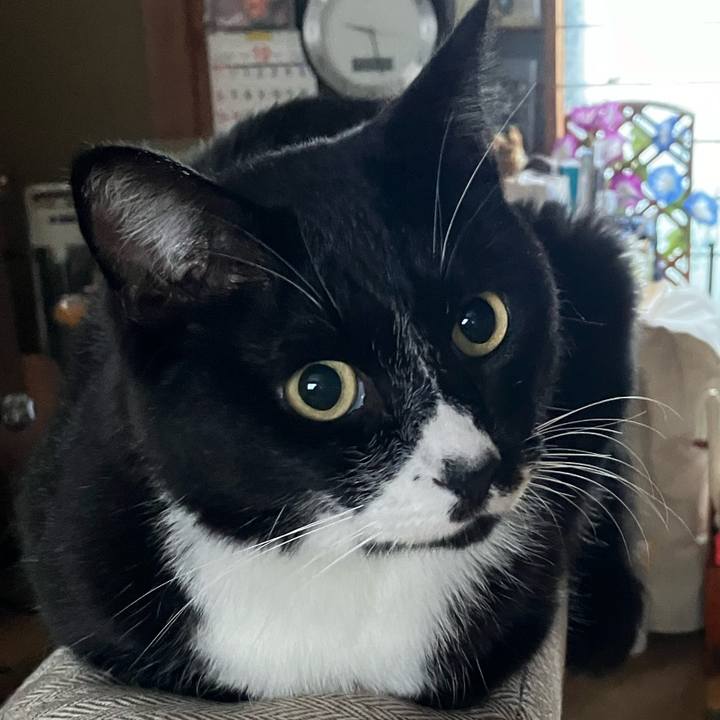 B113db26 804b 4a3c 8093 37bf281b5730 1731554517327