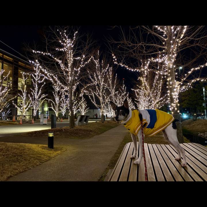 B113dc4b ade0 4073 b3bc e13d8fa24121 1577534412528