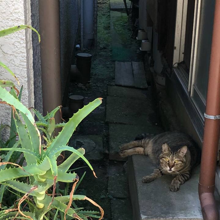 B113e7d6 b8d8 4cb7 81ae f24dd7976a41 1530275095344