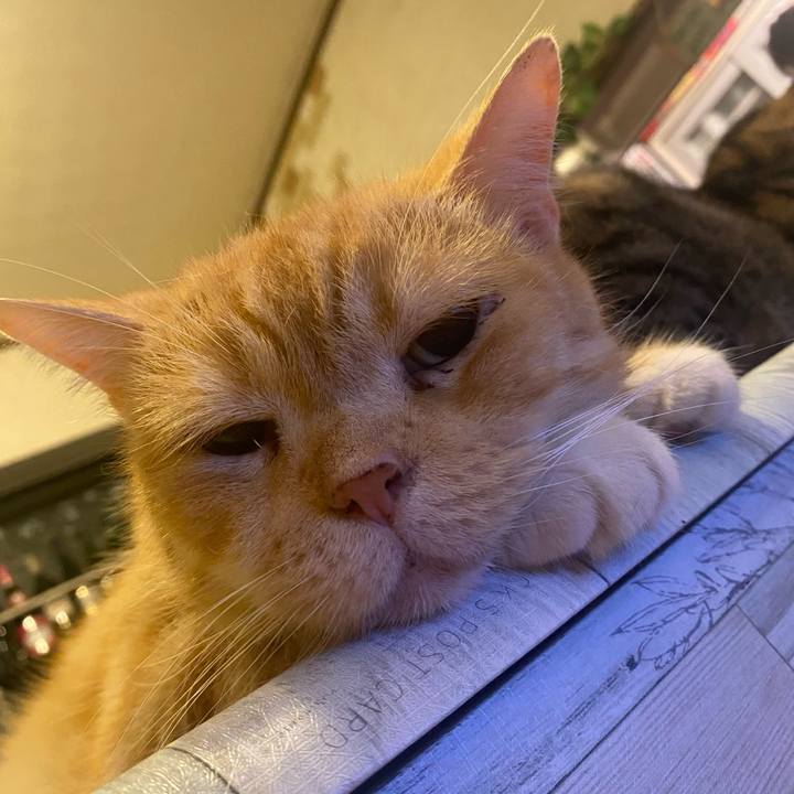 B113ed0f 64fd 40b4 9c05 9088482e506b 1627485545497