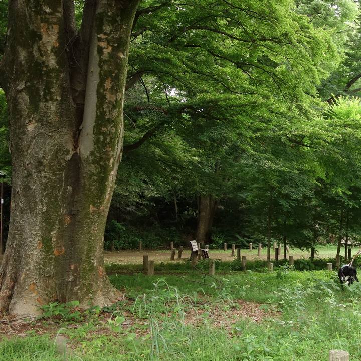 B1140b5c 900a 4314 9d62 2cd69d044ede 1747875324381