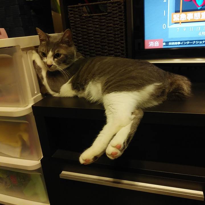 B11434bd 56e8 4eae a3ba b3dc9087482d 1593436470526