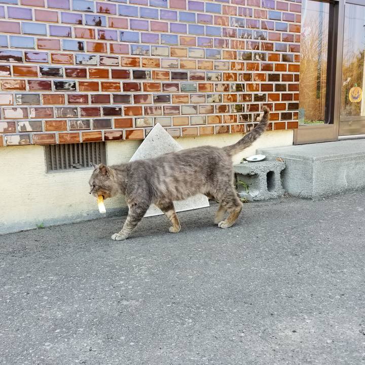 B1143b9e 653c 404e 9a83 86ee086b1320 1551948642840