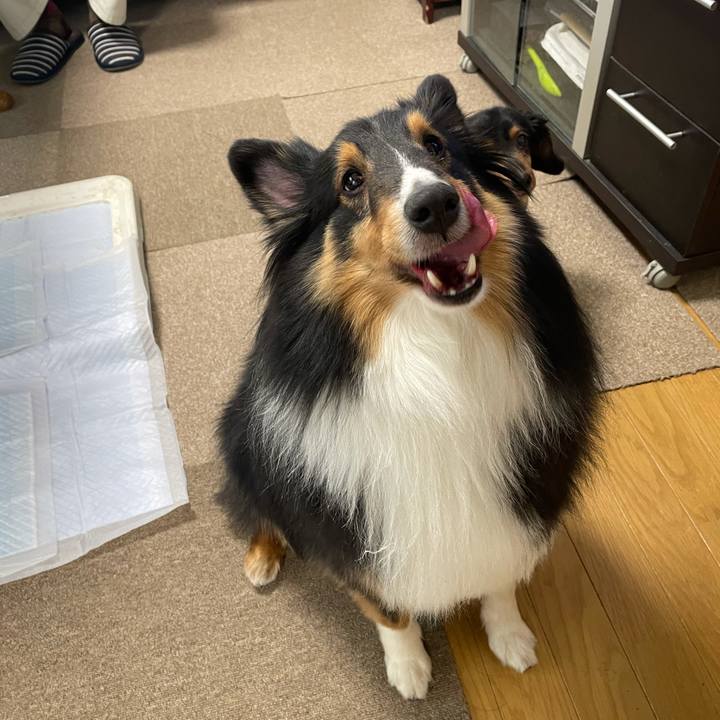 B114515a 18b2 4205 81b9 e6c7b4d9ae41 1616018747099