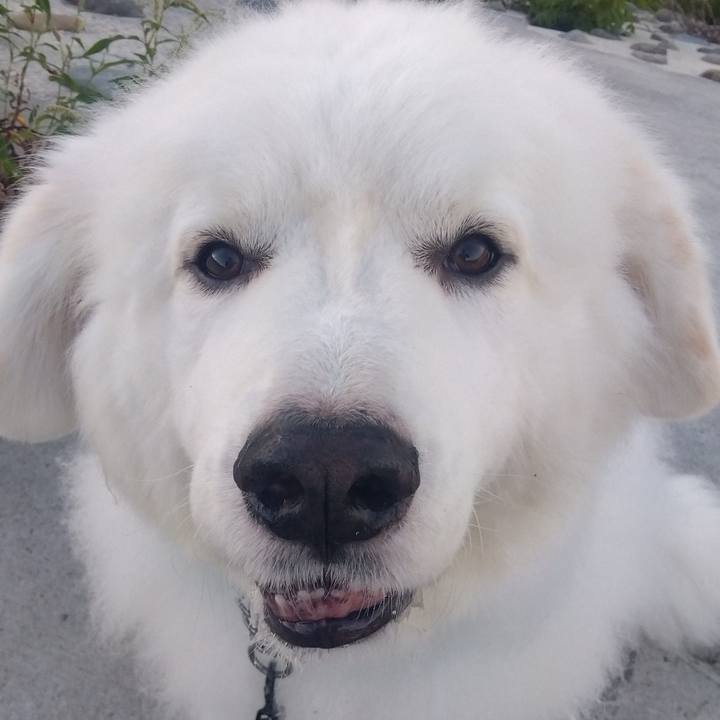 B1153bee 2930 4495 8304 23622d4af096 1694643028329