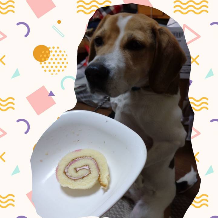 B1155489 d2d3 4844 b2b6 1b5466c068f4 1613461648504