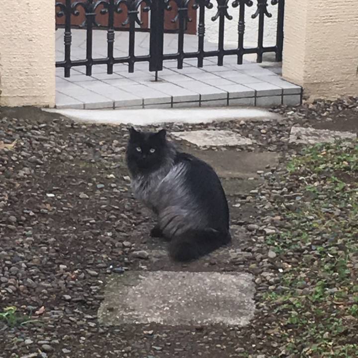 B115849c e5c3 4b13 90a2 a3258acbfb12 1551054554643