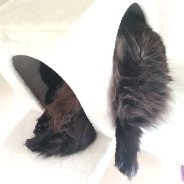 B115bbcb 2ddf 470d 972f 2284e8af0c2d 1698998095918