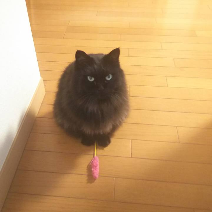 B115d14c 4e4b 4a42 a10d 4f4d41931cbf 1563359786819