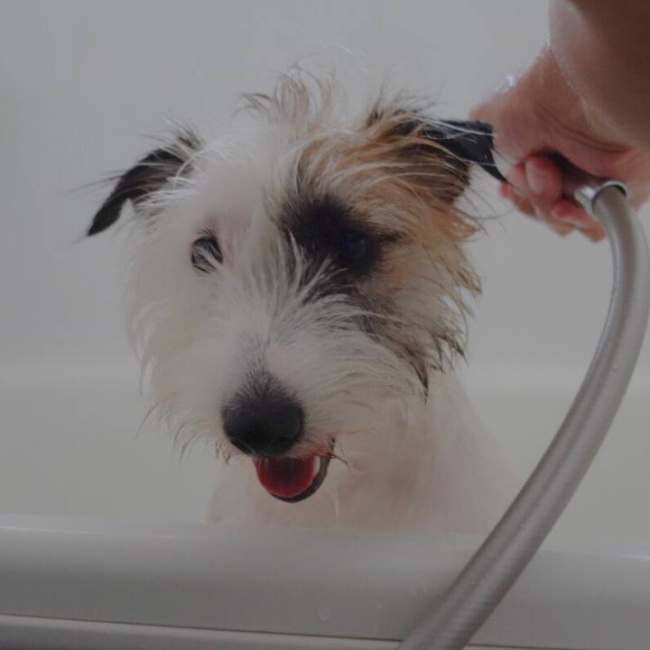 B115dd40 5c1c 4e7f b57f 5c2e4141f186 1534044971034