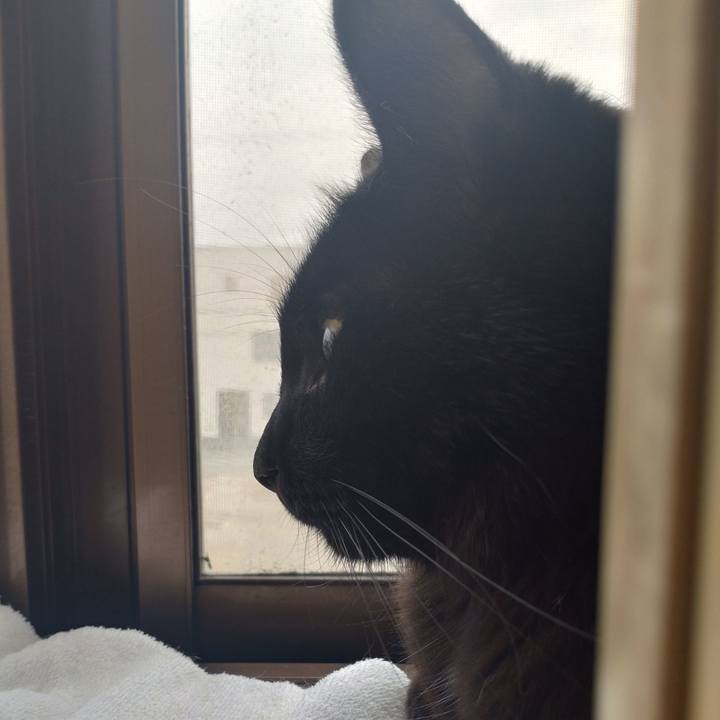 B115eb31 3cbf 43df aae5 22e07deb2634 1695075666082