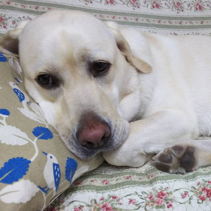 B1162bfc e323 42dc 9c6c 8547b58d4fc5 1528626502435