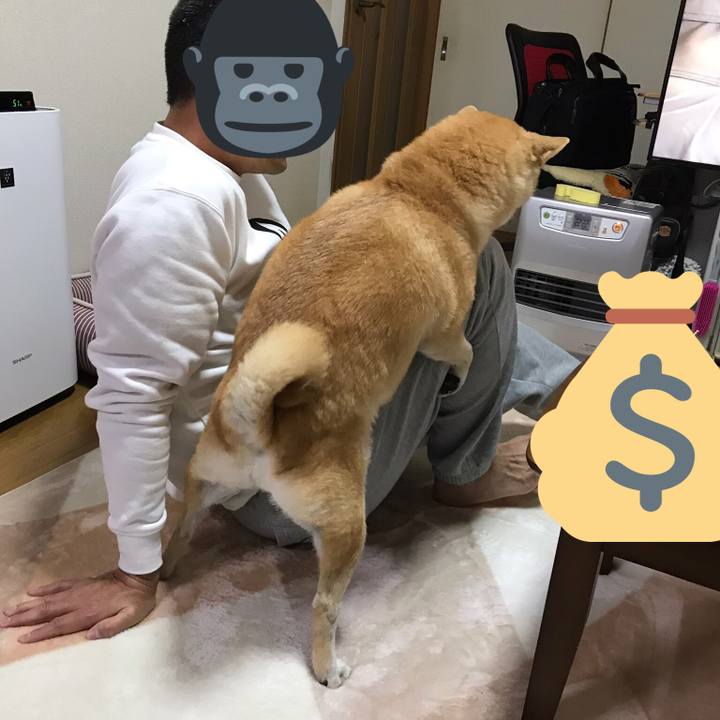 B1162f2b efd6 409e a4b6 f2c0c6386fa1 1544873176809