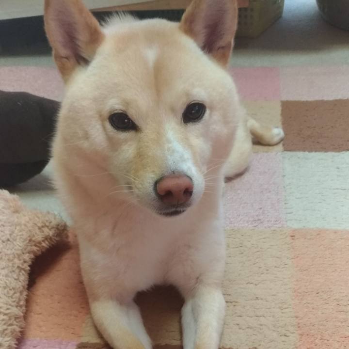 B11637e7 ef03 4d01 9eb4 a08452abba0c 1582497987199