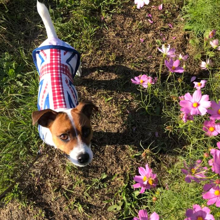 B11699be f193 4bc4 ad73 446c0904d94d 1568369452689