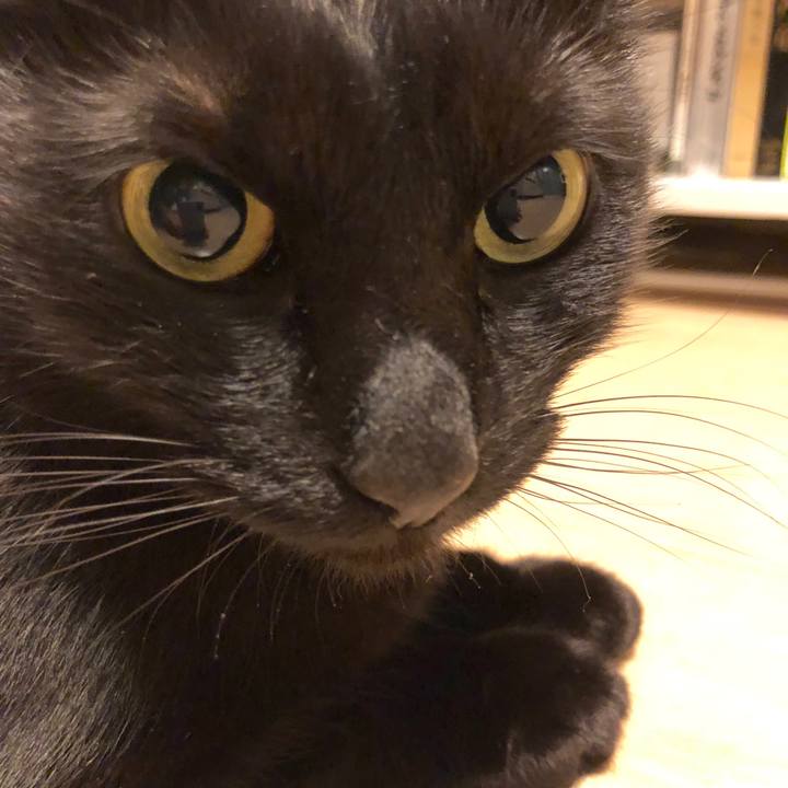 B116af95 68e4 4cd1 9cab d5b7fe322bd5 1514640854519