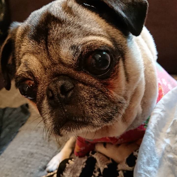 B116b22a bb65 4148 b291 7ff4180bcc78 1558267187538