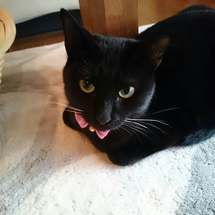 B116c1d6 349d 4a62 8ed2 8f2856429e1e 1517802466935