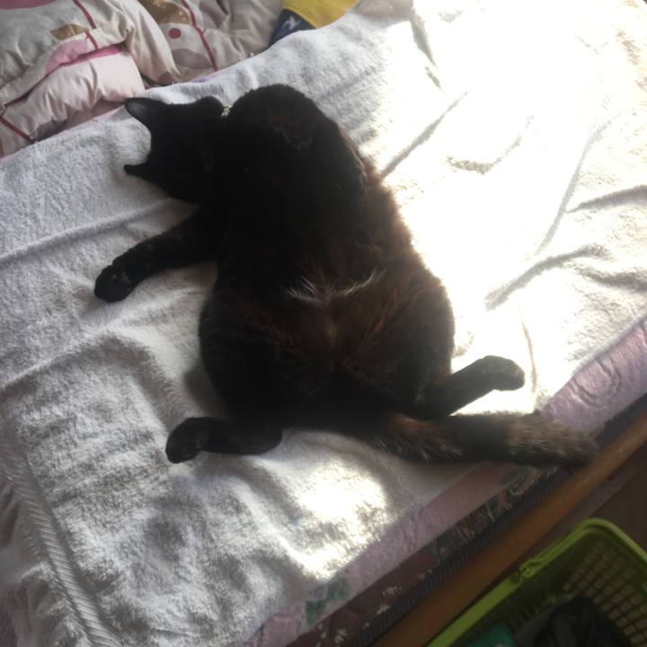 B116c8c4 20fa 4169 b674 b1c6546bf234 1527515808042