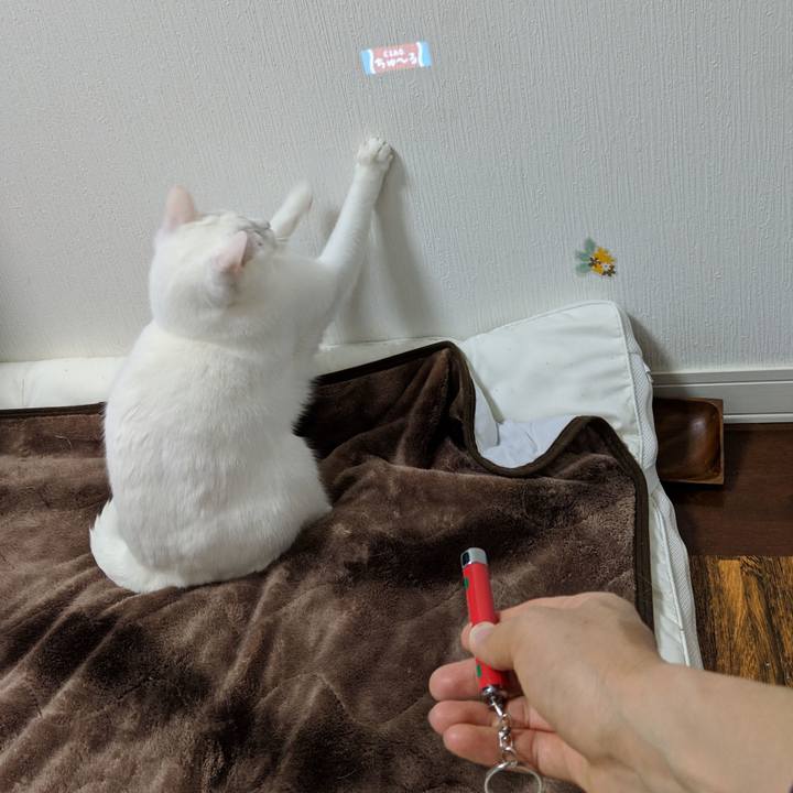 B116d153 af4c 4347 b729 29e1239d9860 1550156822886