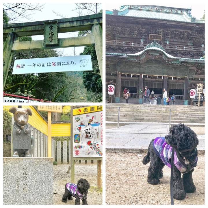 B116d867 7c45 4fb0 bff5 08590275fb4f 1547297492043