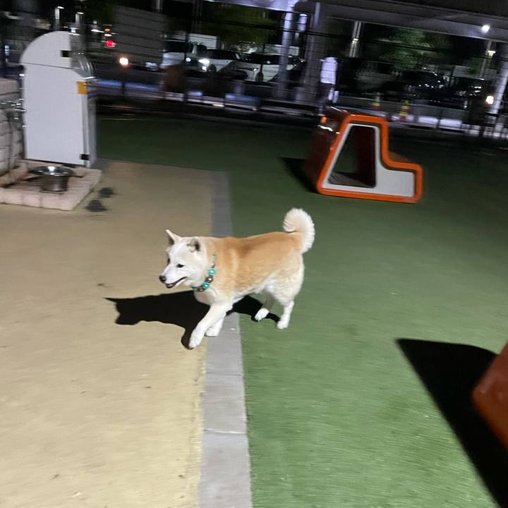 B116df08 6101 43c6 9942 bcb4b0d68f1f 1682974533073