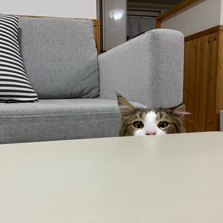 B1172700 425a 4a65 9bd3 391e5b85865c 1648065489931