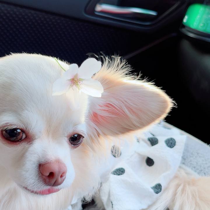 B117388c 2f33 49f2 ab5e dd3ae6968cbe 1713096107445