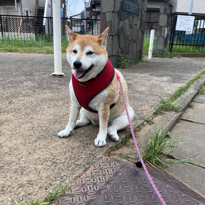 B11763e1 18cb 49e2 83e8 1e1871c318f3 1716085646196