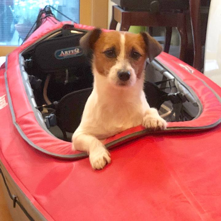 B1178da2 6401 4078 b03e b7fc46a384fd 1518263058460