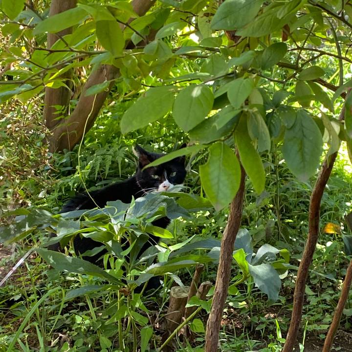 B117b338 03e5 411e a50e e83e0b617928 1627074784850